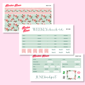 June 2025 Deluxe Budget Kit | 7x9, 8.5x11 & Petite Monthly Planner