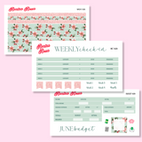 June 2025 Deluxe Budget Kit | 7x9, 8.5x11 & Petite Monthly Planner