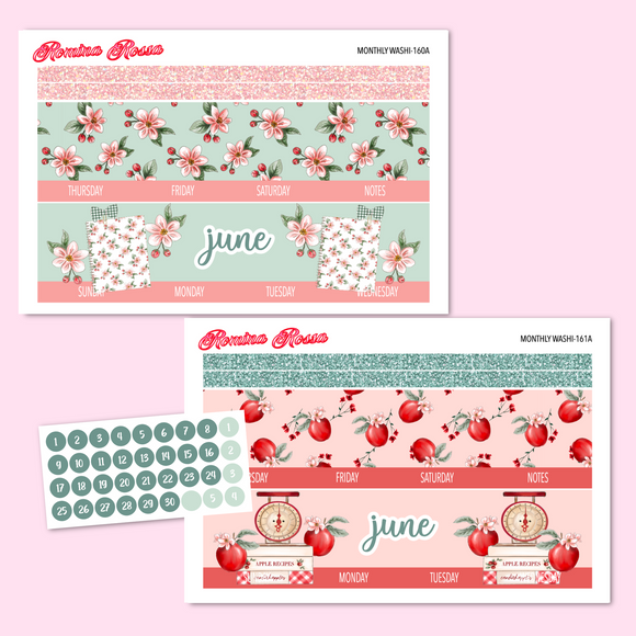 June 2025 Monthly Stickers | 7x9 Planner, 8.5x11 Planner & Petite Planner